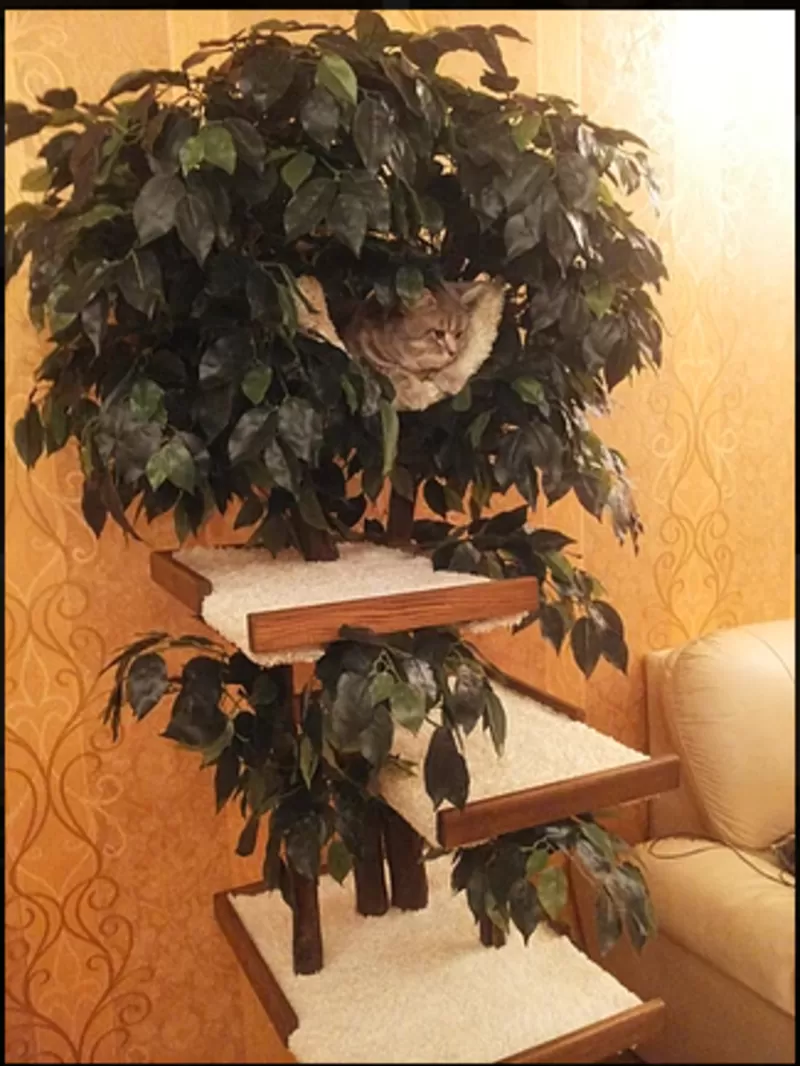 Домик для кошек из дерева 2