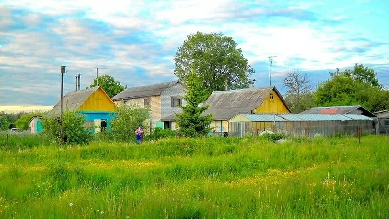 Продается 3 Дома (усадьба) в д. Бригидово 47 км.от Минска.