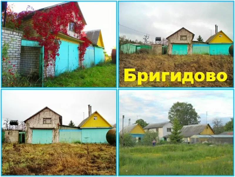 Продается 3 Дома (усадьба) в д. Бригидово 47 км.от Минска. 4