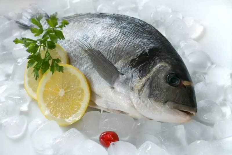 рыба и морепродукты ( оптом)