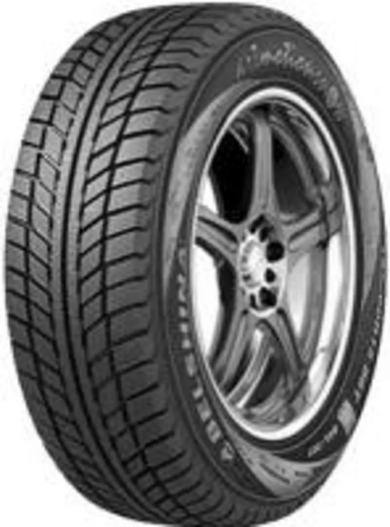 Зимние шины 205/55R16 Бел-317 в Минске недорого плюс Шиномонтаж