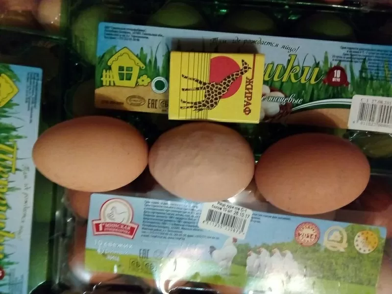 Яйца домашние,  крупные,  свежие 