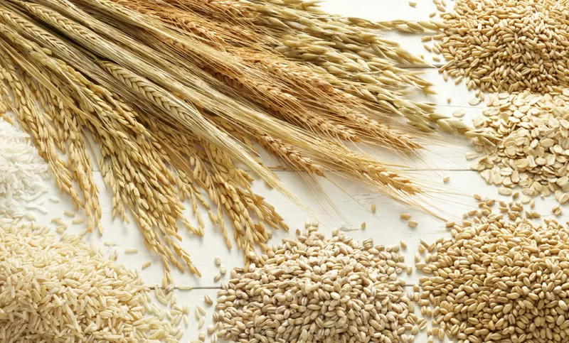 Пшеницу фуражную