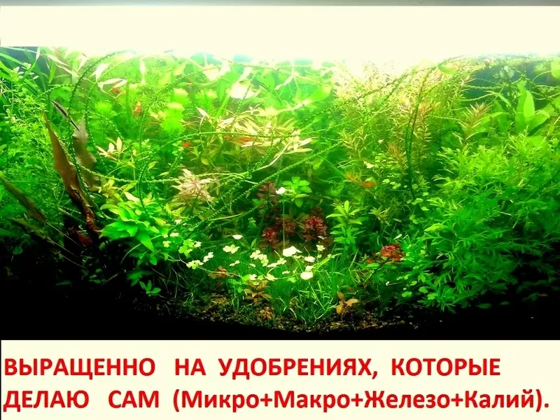 Удобрения - микро,  макро,  калий,  железо,  для растений. ПОЧТОЙ и МАРШ.