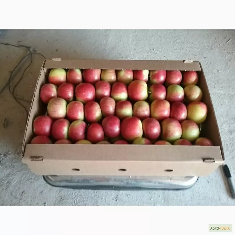 Яблоки 3