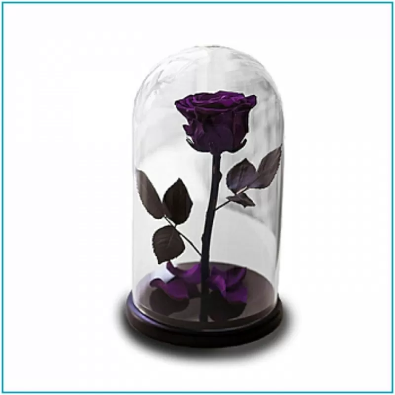 Роза в стеклянной колбе (28 см) 6
