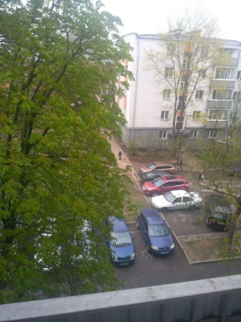 Сдаётся однокомнатная квартира,  по проспекту Дзержинского 55 10