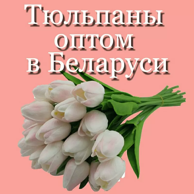 Тюльпаны оптом в Минске от производителя