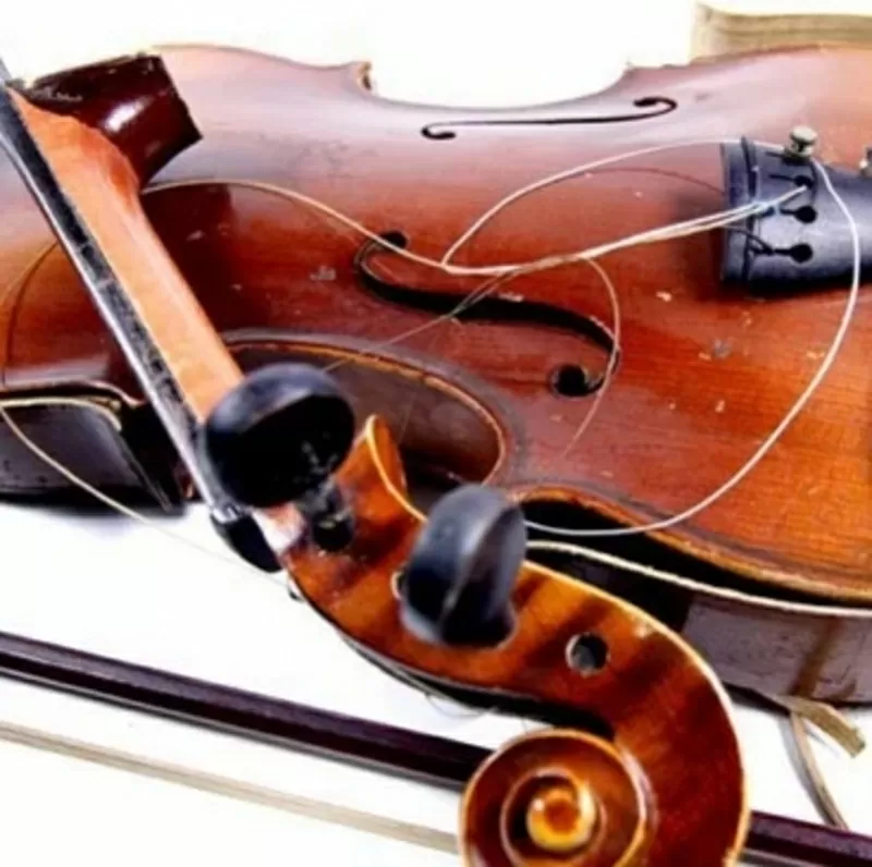 Омск скрипка