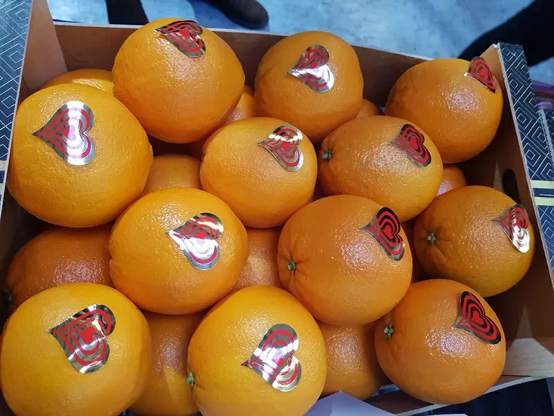 Продаем апельсины от производителей 3