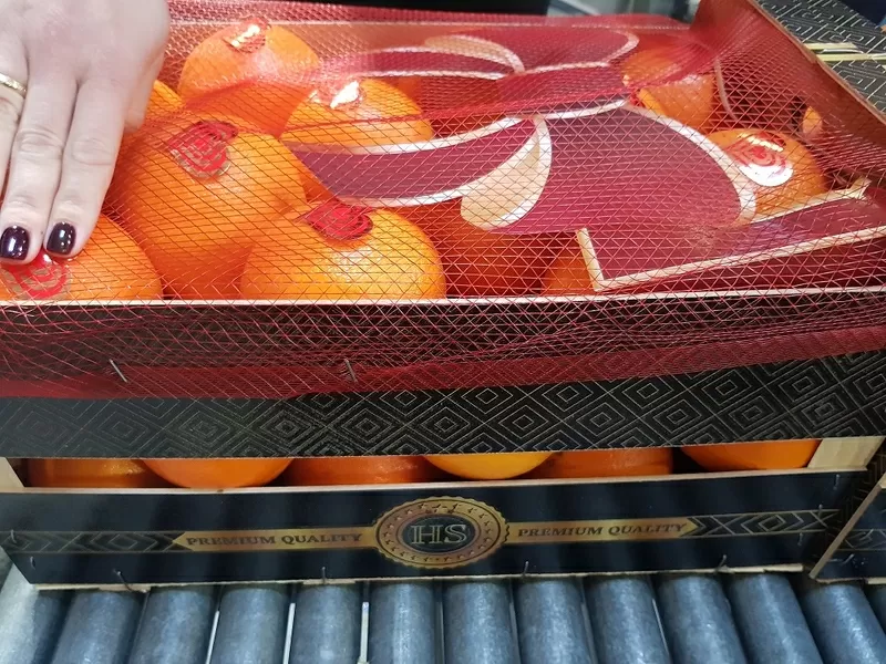 Продаем апельсины от производителей 4