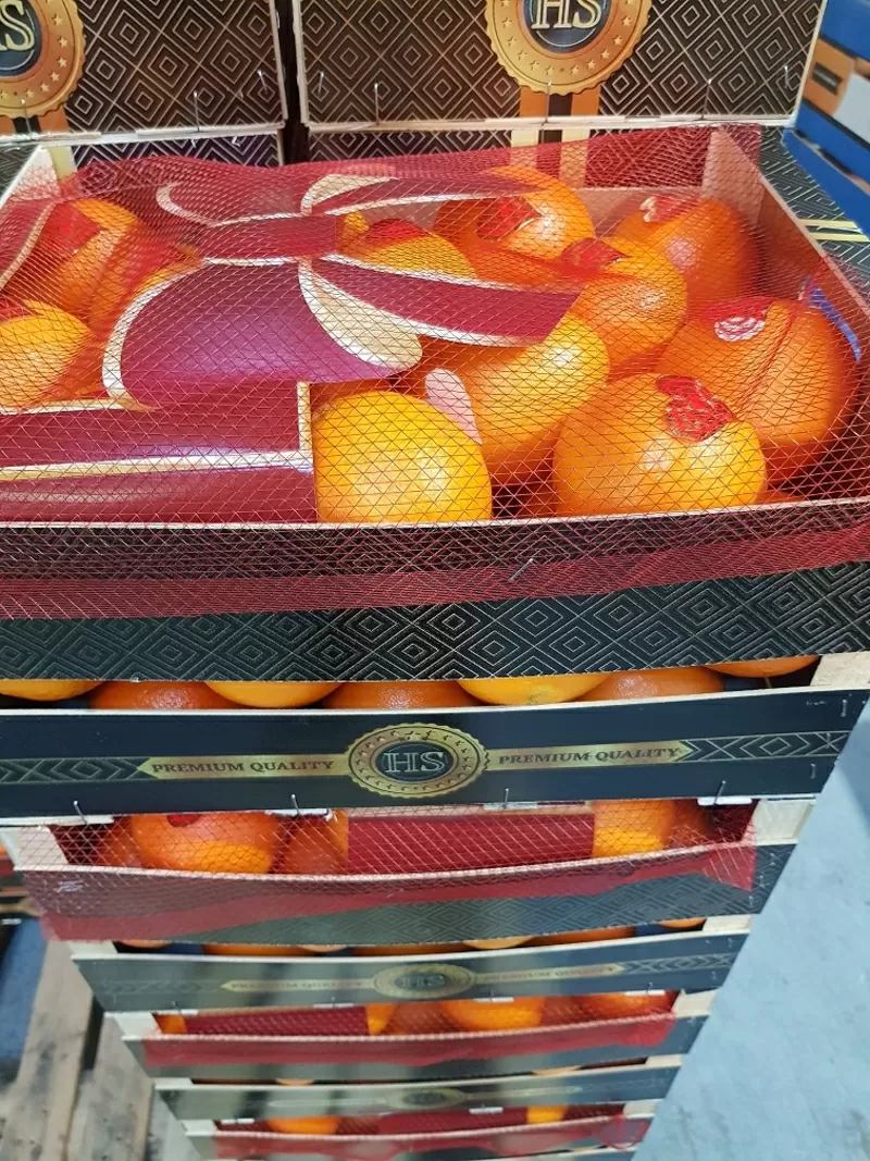 Продаем апельсины от производителей 5