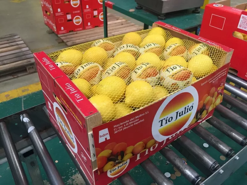 Продаем лимоны от призводителей 2