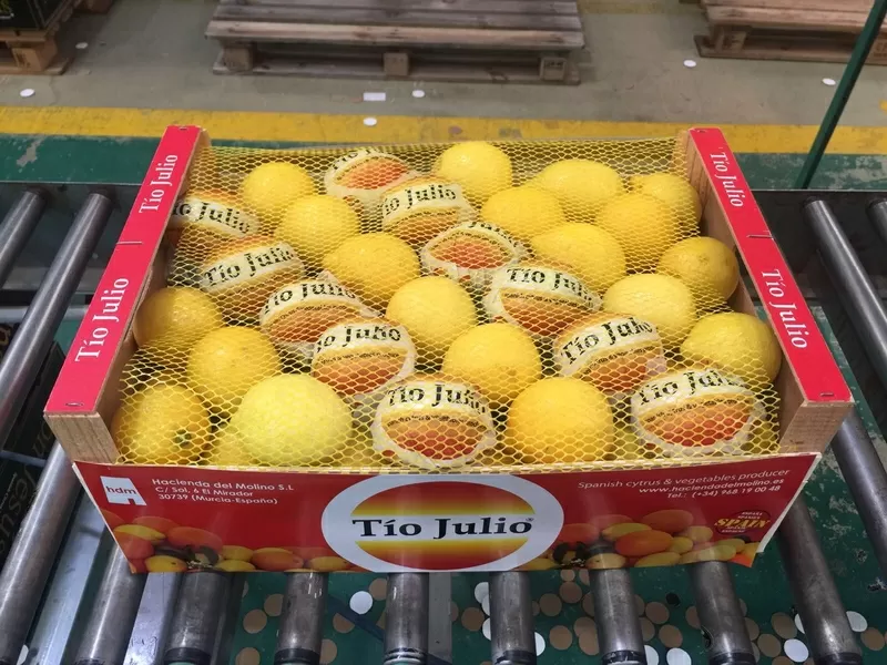 Продаем лимоны от призводителей 3