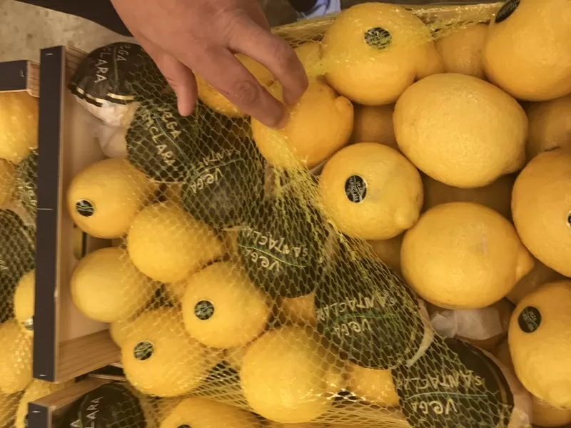 Продаем лимоны от призводителей 8