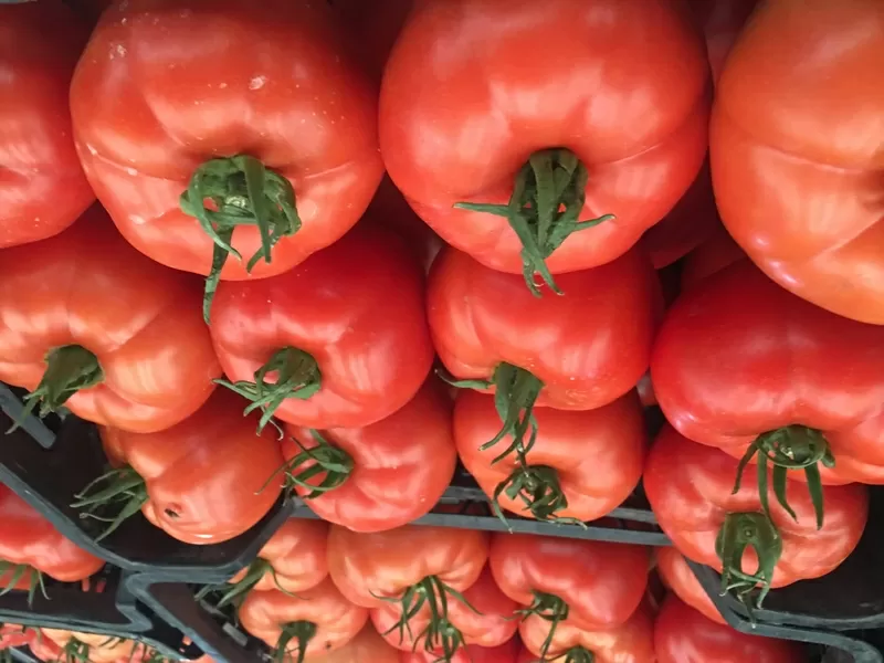 Продаем томаты от производителей 8