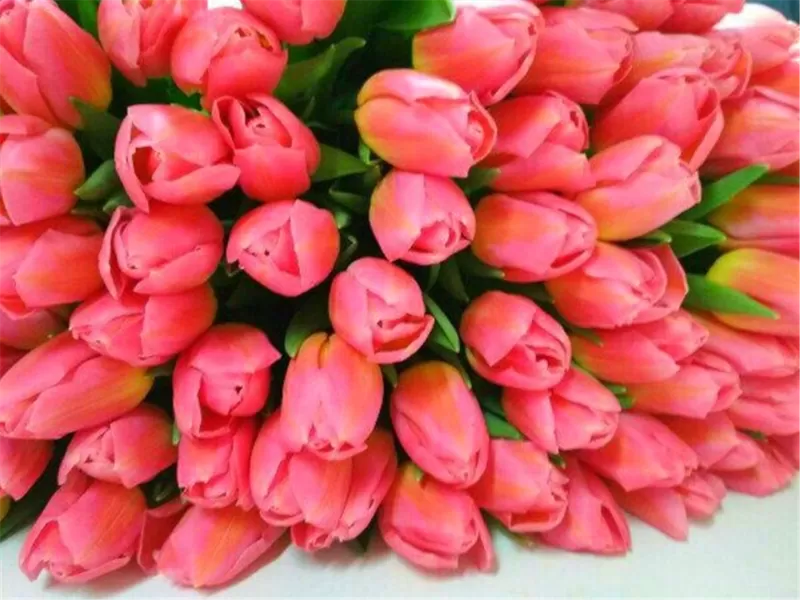Тюльпаны розовые сорт Supermodel оптом Цена: 1, 26 руб. 3