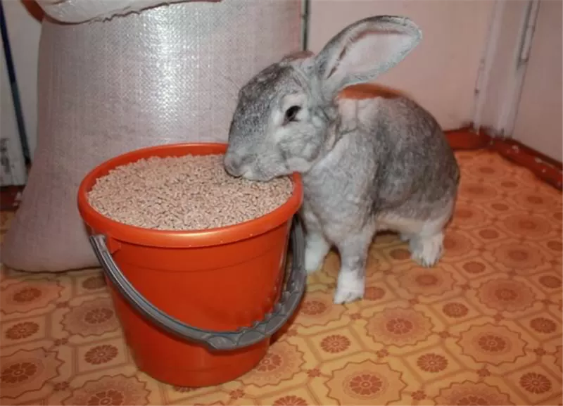 Комбикорм для кроликов,  купить в Минске с Доставкой