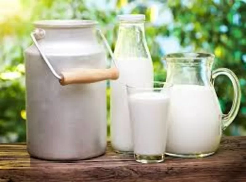 Молоко коровье домашнее 2
