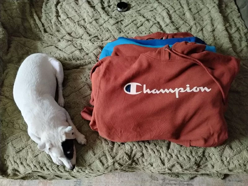 Худи с капюшоном Champion. 5