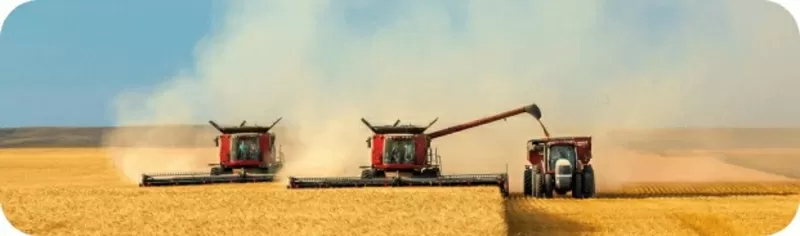 Подсолнечное и соевое масло оптом в Беларуси - ТМ Золотая Семечка 2