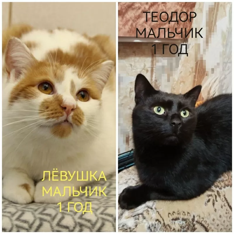 СРОЧНО НУЖНА ПОМОЩЬ!!! 4