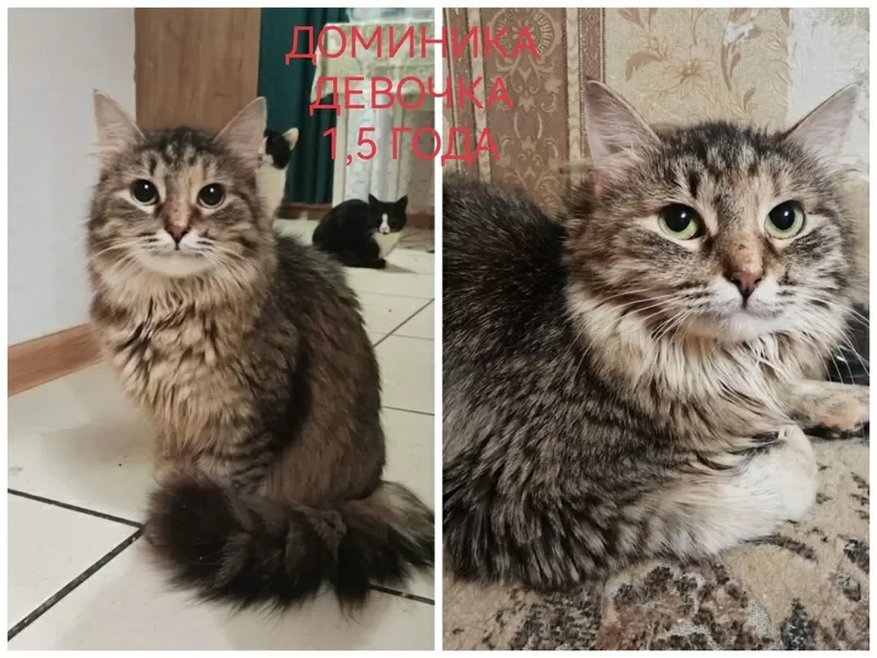 СРОЧНО НУЖНА ПОМОЩЬ!!! 5