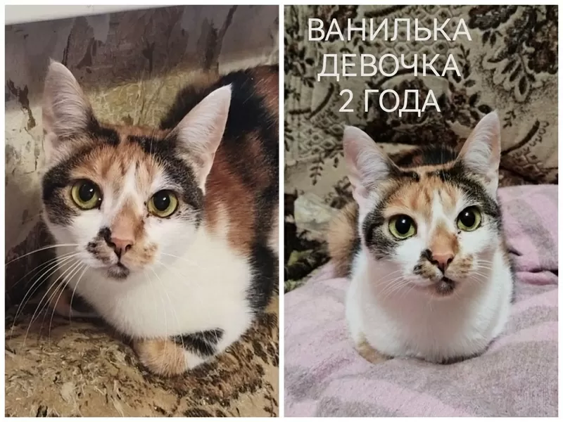 СРОЧНО НУЖНА ПОМОЩЬ!!! 6