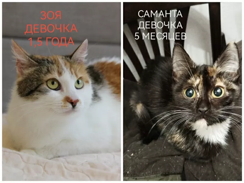 СРОЧНО НУЖНА ПОМОЩЬ!!! 7