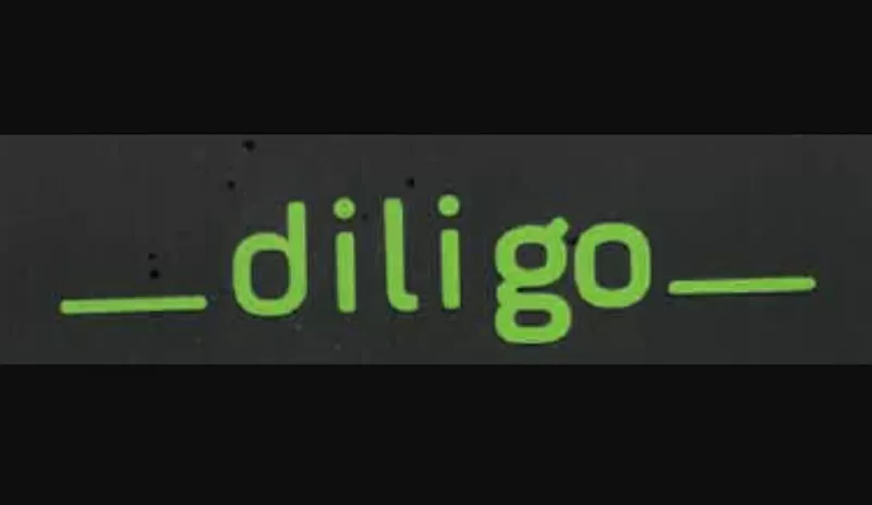 Водитель категории C+E в Польшу, фирма Diligo Korycinski