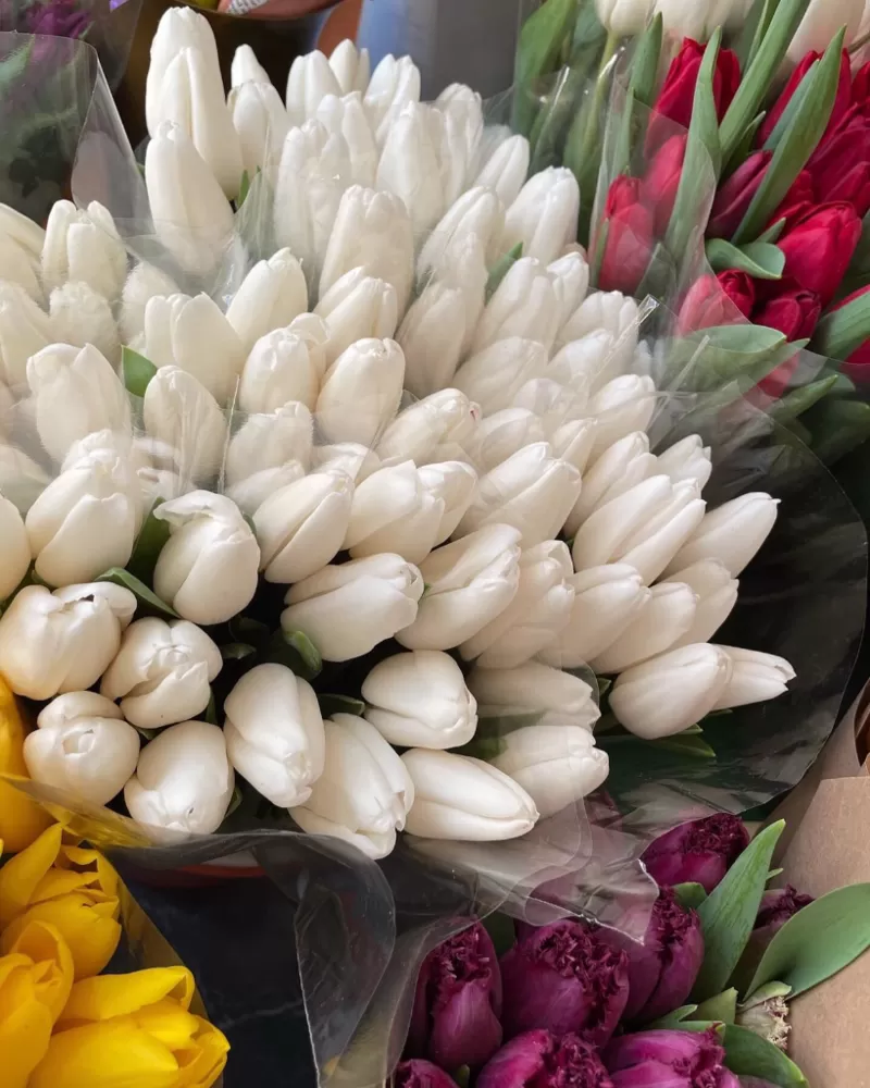 Тюльпаны опт красные. Документы. 4