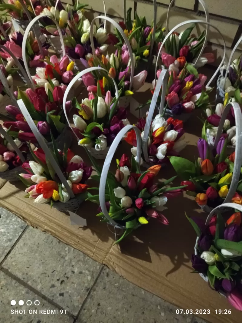 Тюльпаны жёлтые оптом. Документы. 3