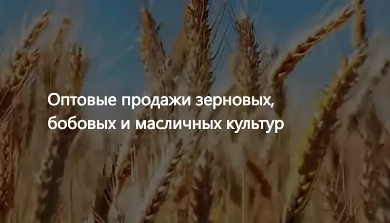 ООО Агропром - оптовая реализация продуктов питания в Минске