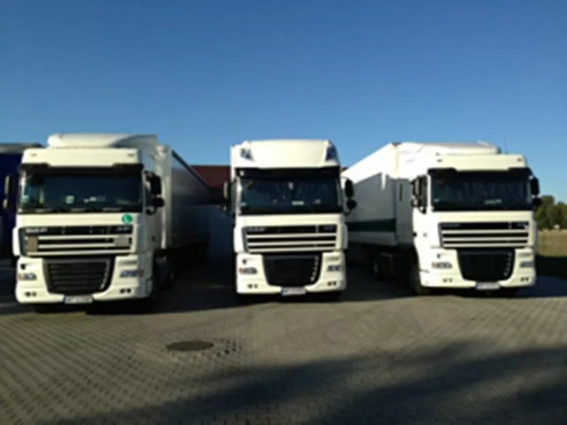 C+E Испания – Польша | честные условия и поддержка компании