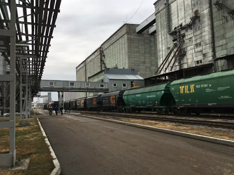 Высококачественное подсолнечное масло оптом от производителя в РБ 2