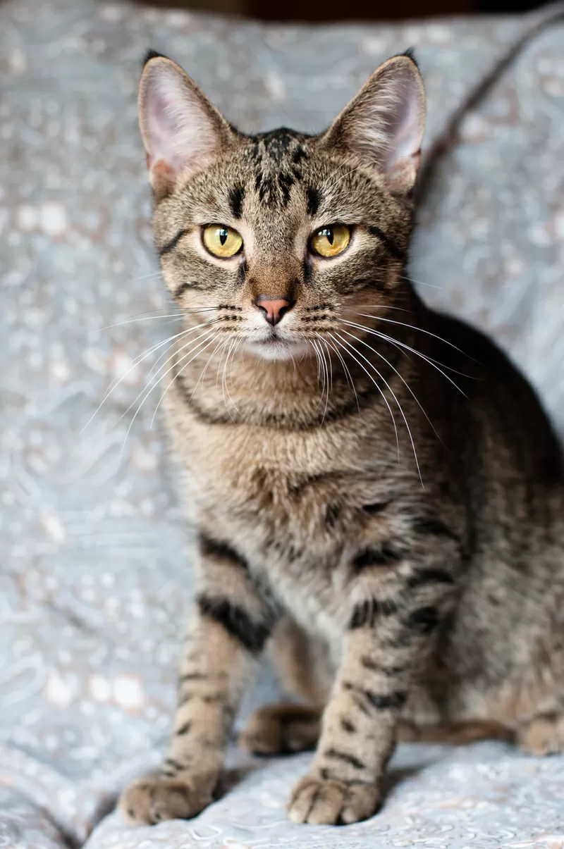 Рассудительный красавчик Юникс 4