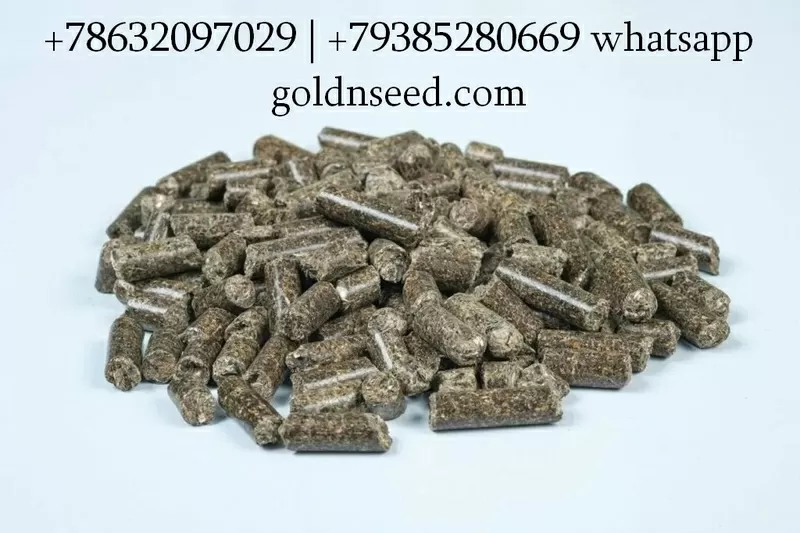 Шрот подсолнечный и соевый оптом в Беларуси - ГК Юг Руси