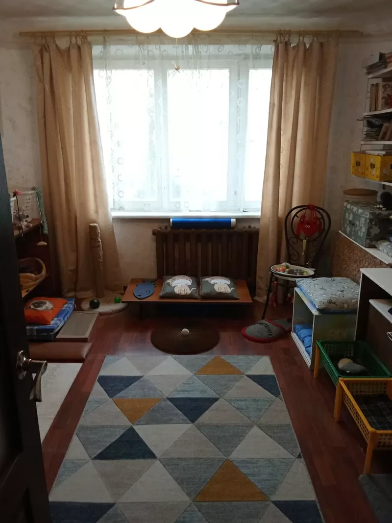 Домашняя передержка для котов