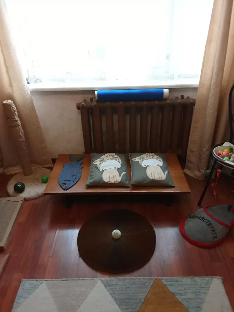 Домашняя передержка для котов 3