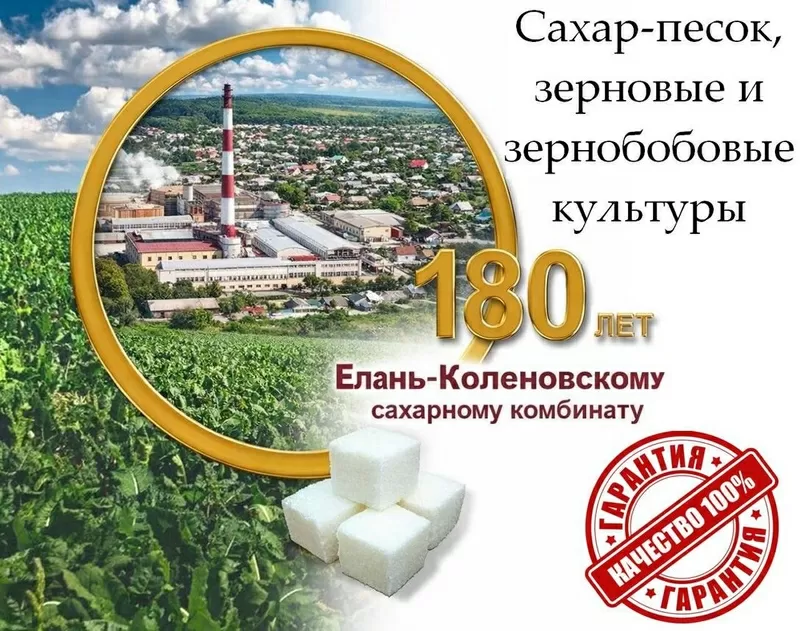 Сахар-песок,  зерновые и зернобобовые культуры в Беларуси